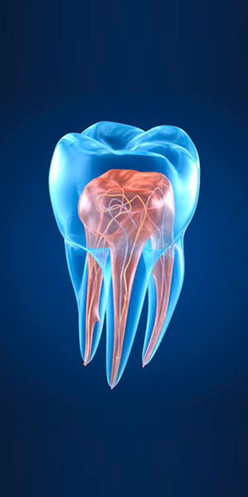 Clínica de Endodontia Barra da Tijuca